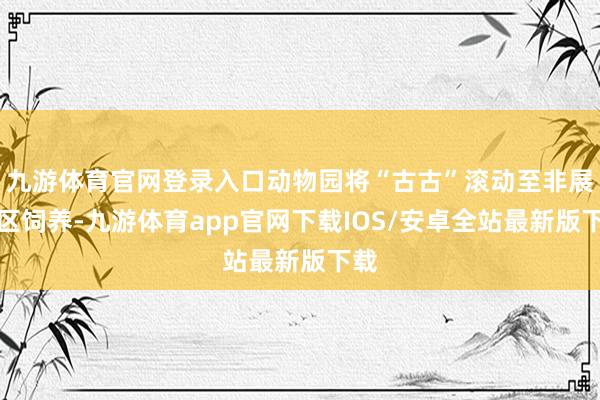 九游体育官网登录入口动物园将“古古”滚动至非展示区饲养-九游体育app官网下载IOS/安卓全站最新版下载