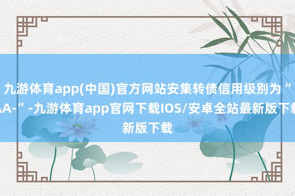 九游体育app(中国)官方网站安集转债信用级别为“AA-”-九游体育app官网下载IOS/安卓全站最新版下载