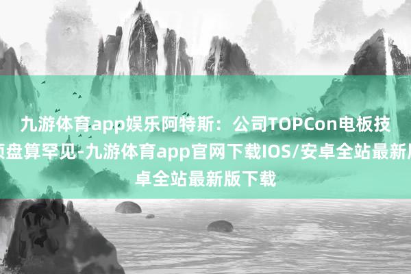 九游体育app娱乐阿特斯:公司TOPCon电板技能多项盘算罕见-九游体育app官网下载IOS/安卓全站最新版下载