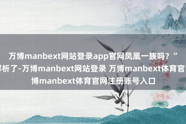 万博manbext网站登录app官网凤凰一族吗？”许宗懿很快就解析了-万博manbext网站登录 万博manbext体育官网注册账号入口
