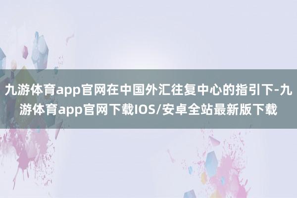 九游体育app官网在中国外汇往复中心的指引下-九游体育app官网下载IOS/安卓全站最新版下载