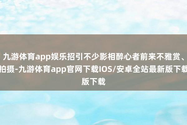 九游体育app娱乐招引不少影相醉心者前来不雅赏、拍摄-九游体育app官网下载IOS/安卓全站最新版下载