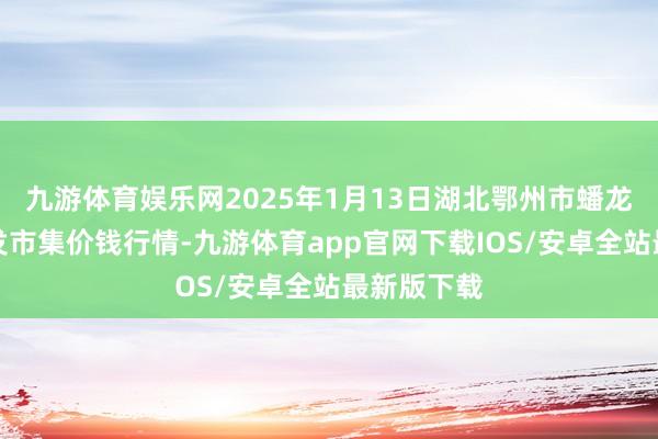 九游体育娱乐网2025年1月13日湖北鄂州市蟠龙农产物批发市集价钱行情-九游体育app官网下载IOS/安卓全站最新版下载
