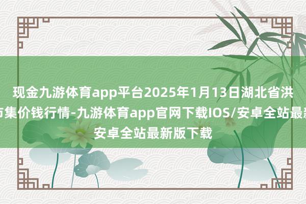 现金九游体育app平台2025年1月13日湖北省洪湖农贸市集价钱行情-九游体育app官网下载IOS/安卓全站最新版下载