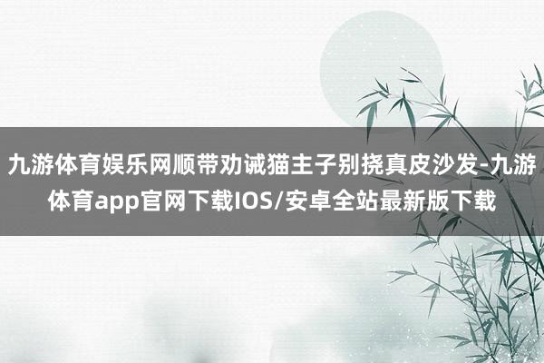 九游体育娱乐网顺带劝诫猫主子别挠真皮沙发-九游体育app官网下载IOS/安卓全站最新版下载