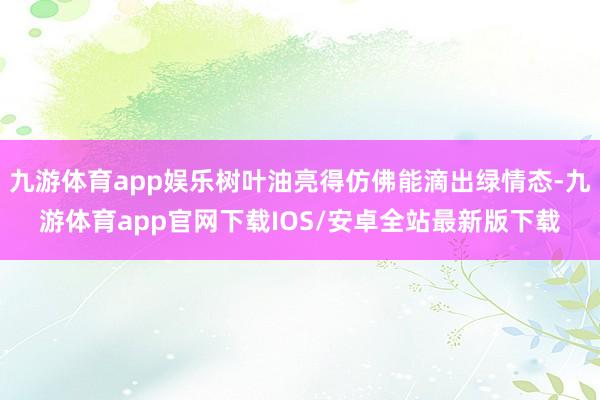 九游体育app娱乐树叶油亮得仿佛能滴出绿情态-九游体育app官网下载IOS/安卓全站最新版下载