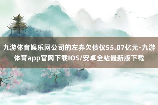 九游体育娱乐网公司的左券欠债仅55.07亿元-九游体育app官网下载IOS/安卓全站最新版下载